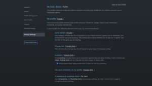 How To Hide Your Steam Porn Game Activity